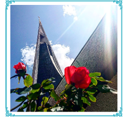 写真：薔薇と教会