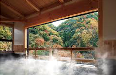 武田尾温泉の湯船の写真