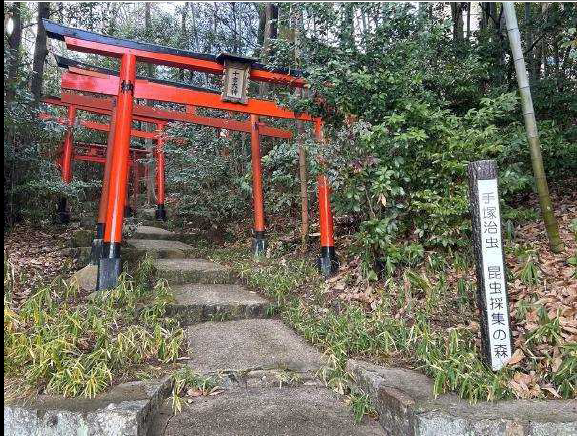 千吉稲荷神社の写真